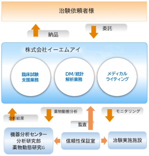 臨床治験業務体系図